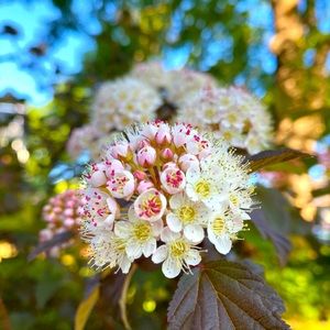 Hello & Asalaamu Alaykoom! Names Aisha :)